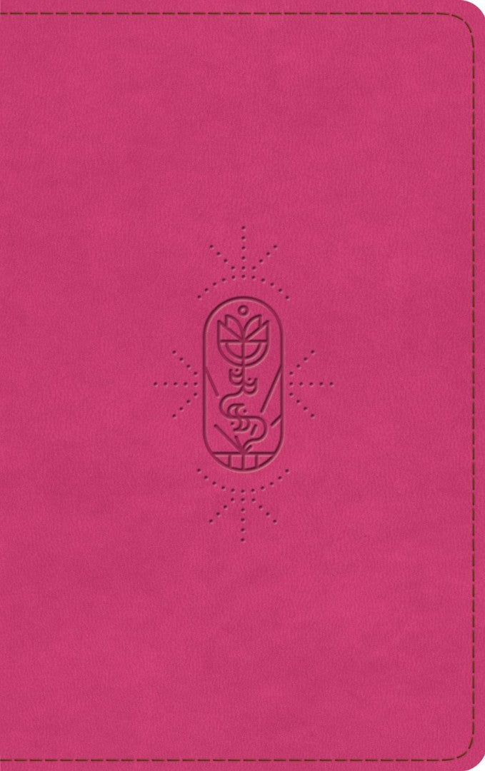 ESV Kid's Bible, Thinline, Red Letter, Berry - Re-vived