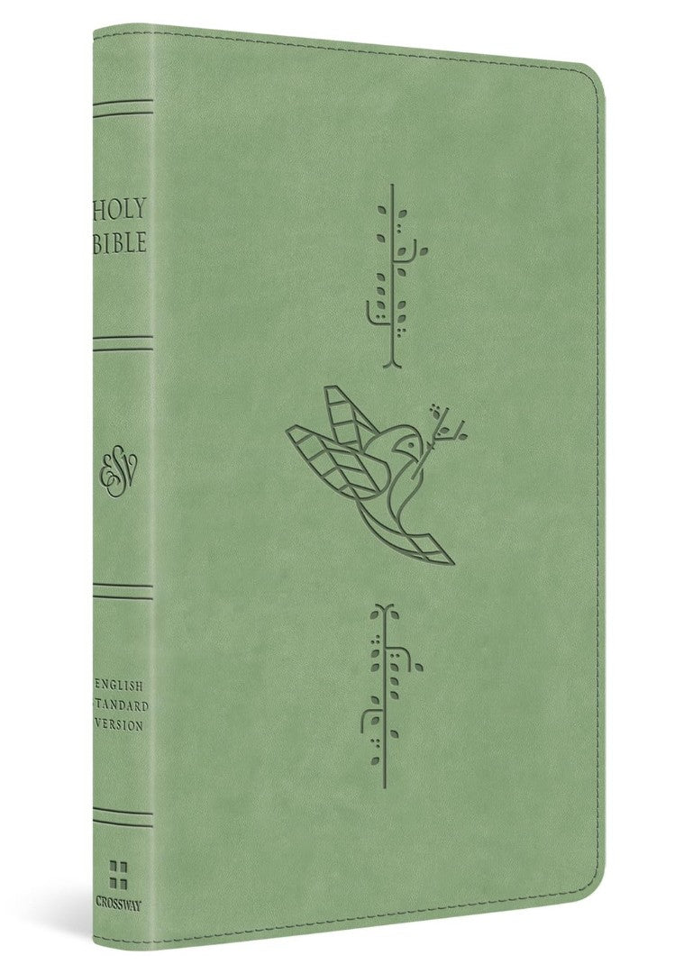 ESV Kid's Bible, Thinline, Red Letter, Light Green - Re-vived
