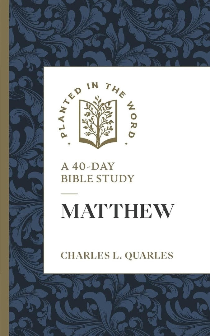 Matthew - Re-vived