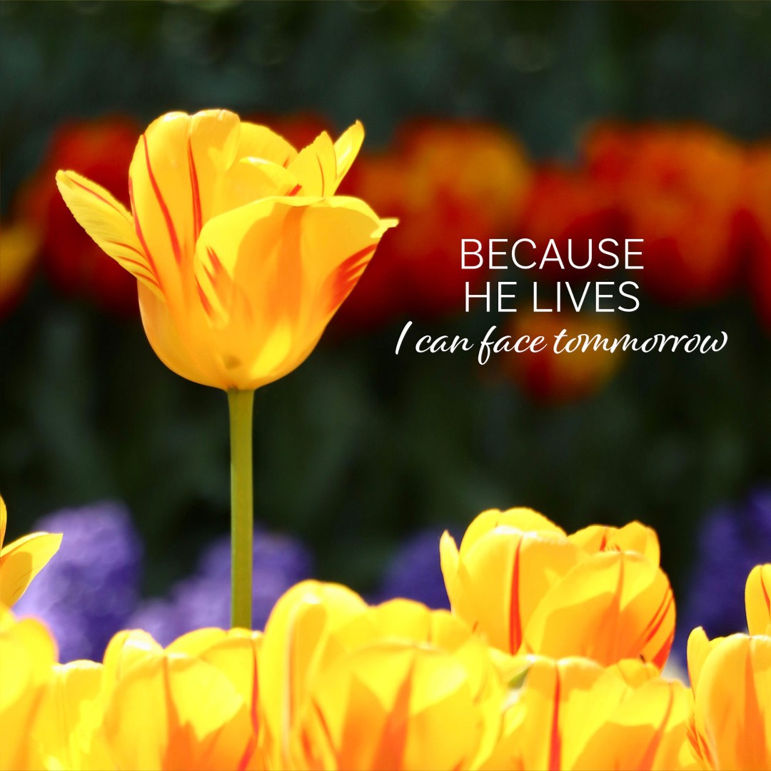 Because He Lives Christian Easter Cards (Pack of 5) - Re-vived