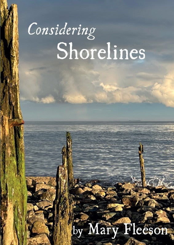 Considering Shorelines - Re-vived