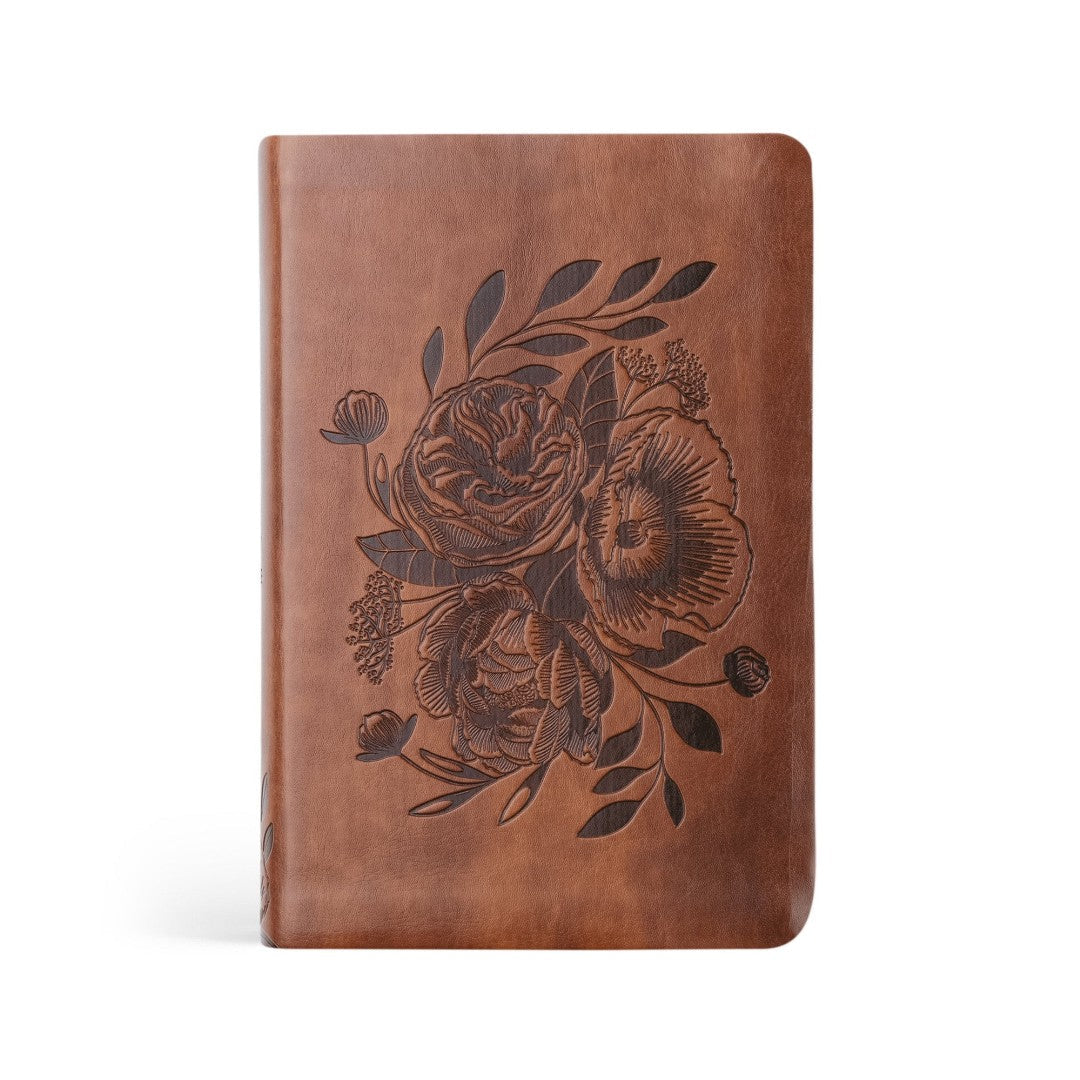 NLT Compact Bible: Aurora Theme - Re-vived