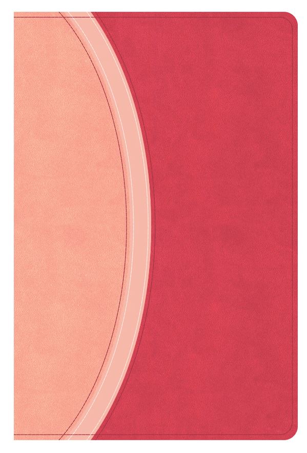CSB Rainbow Study Bible, Pink Leathertouch