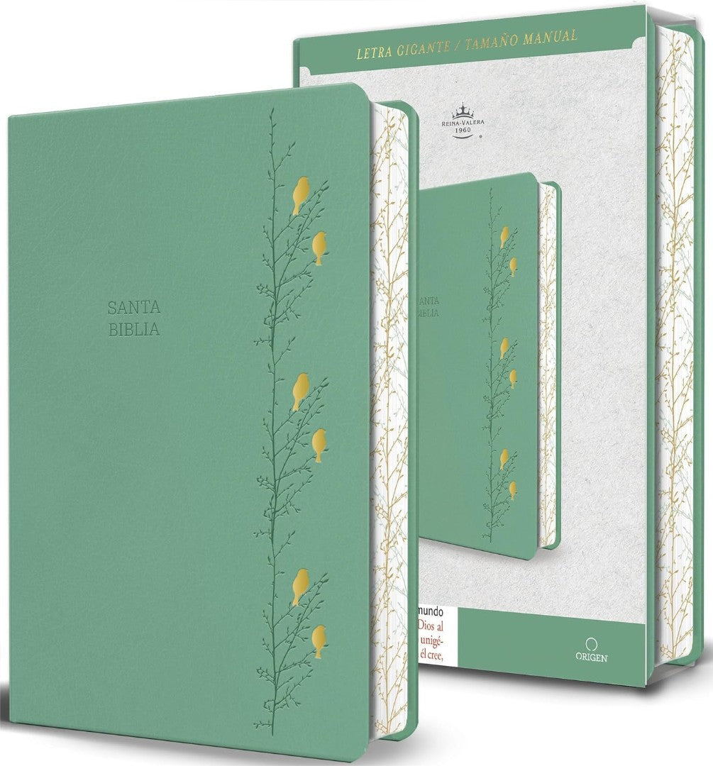 Biblia RVR 1960 Letra Gigante Simil Piel Verde Con Pajaros