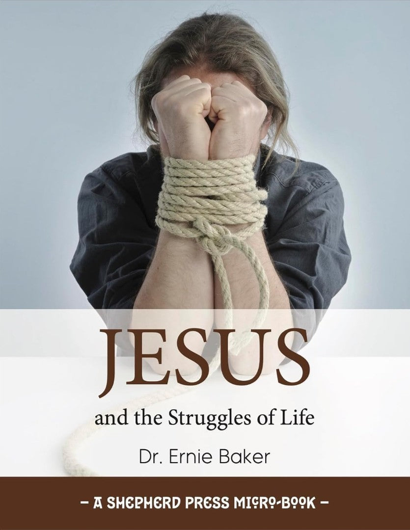 Jesus and the Struggles of Life (pack of 5)