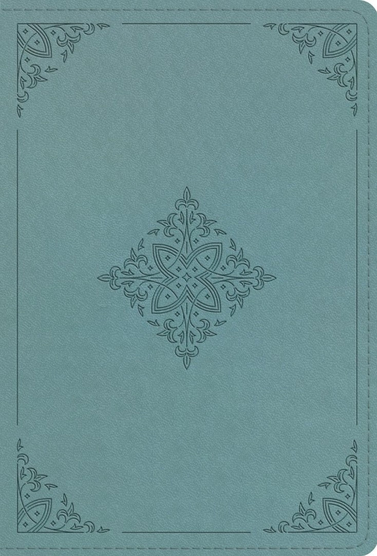 ESV Large Print Compact Bible, Paris Sky