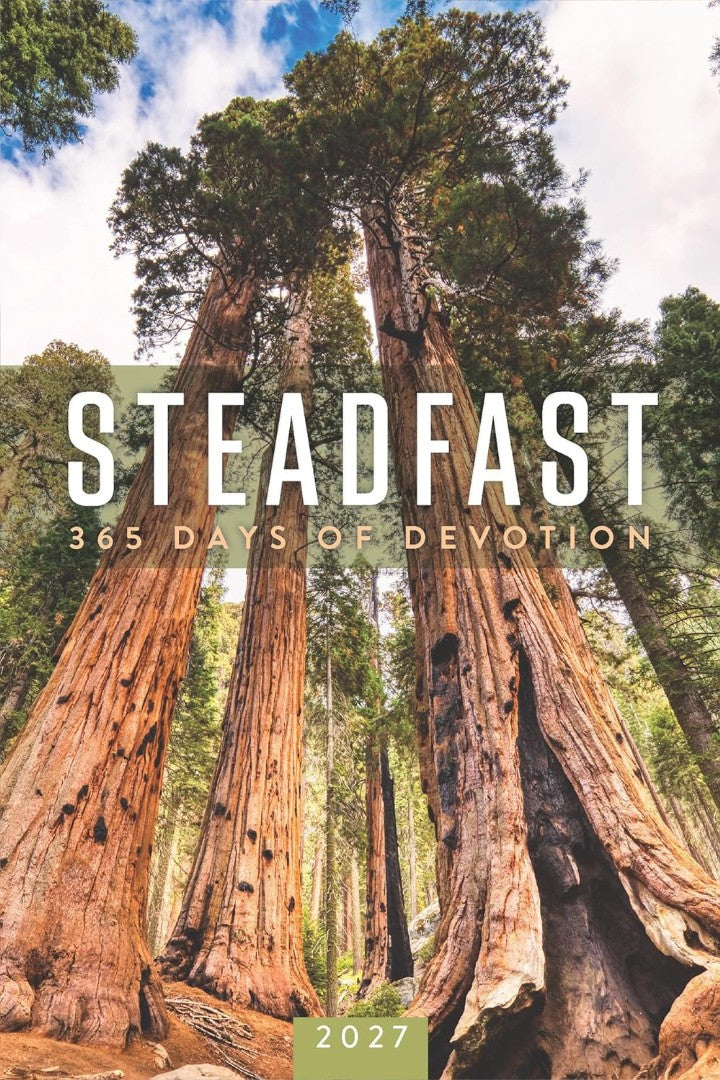 Steadfast 2027