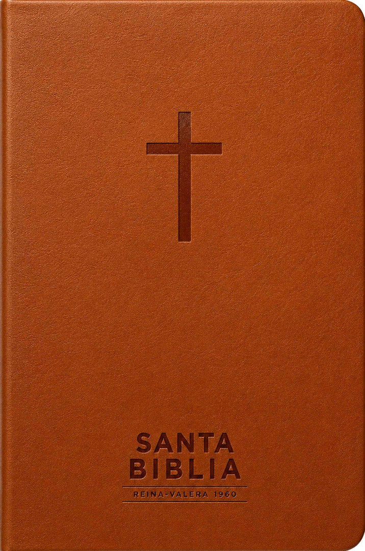 Santa Biblia Reina-Valera 1960 - Visual Con Mapas Mentales