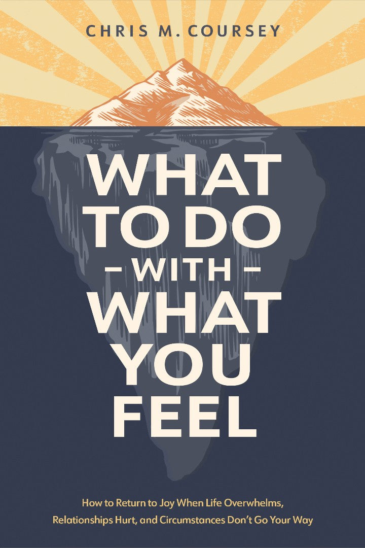 What to Do with What You Feel