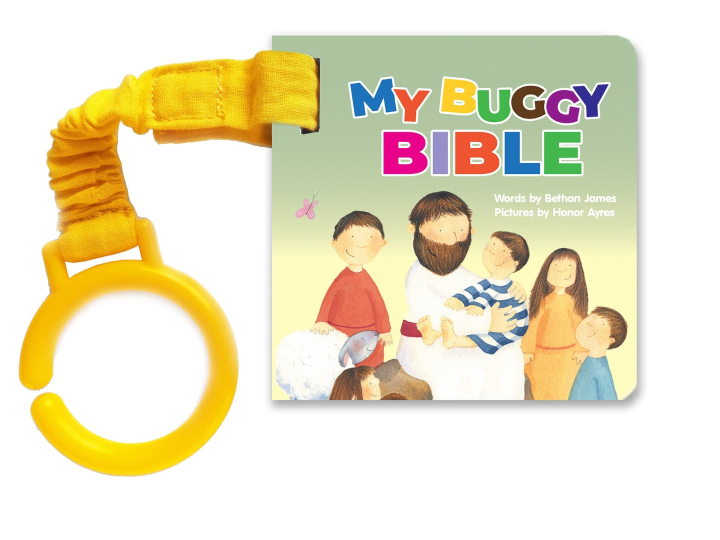 My Buggy Bible