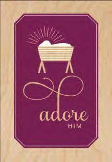 Christmas Boxed Cards: Adore Him (Pack Of 16)