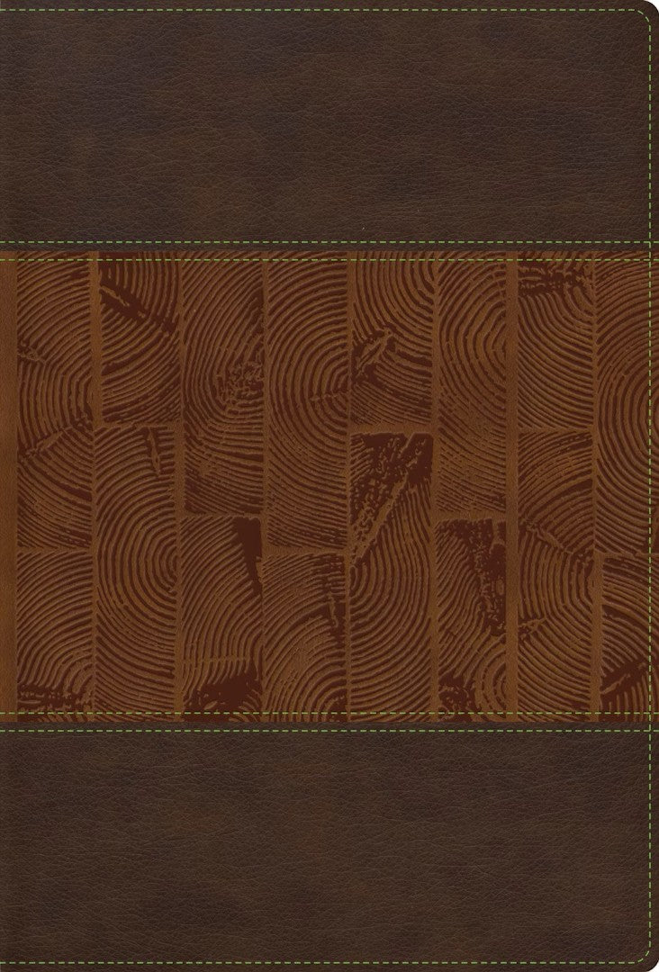 RVR 1960 Letra Grande Tamaño Manual, Edición Especial