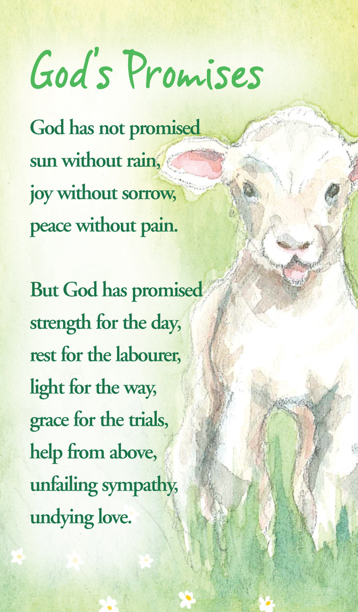 God's Promises Prayer Cards
