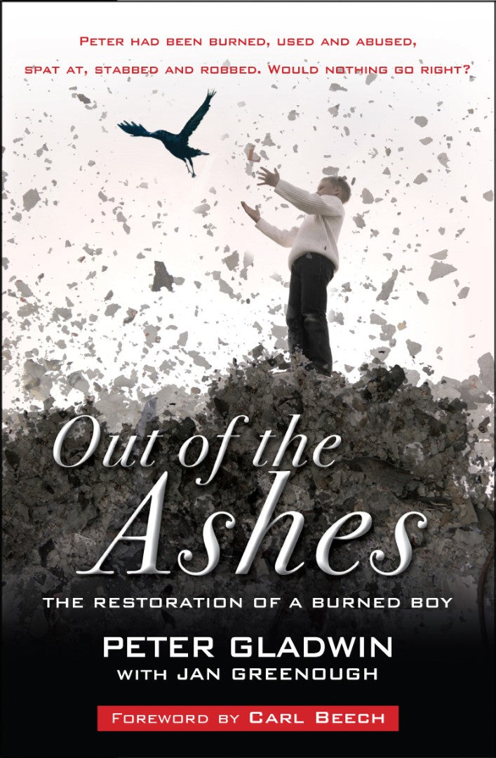 Out Of The Ashes - Re-vived