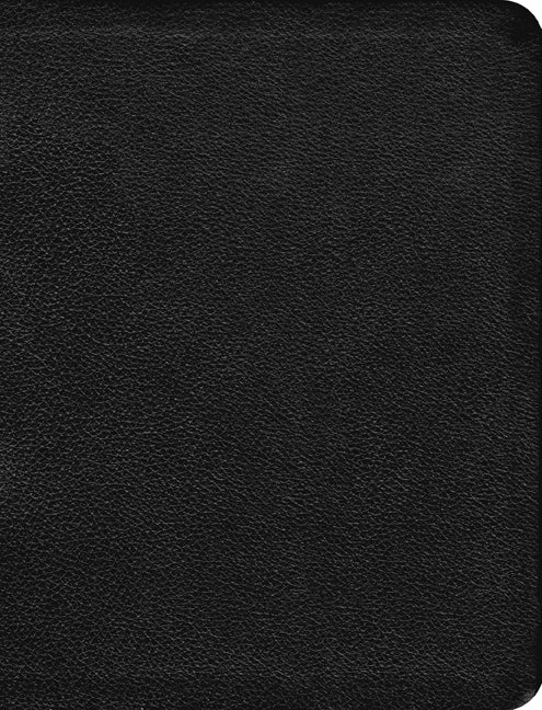 The Message Large Print - Re-vived