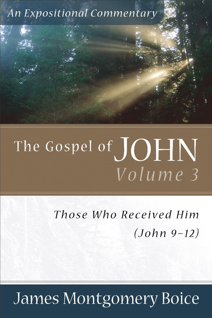 The Gospel Of John Volume 3 - Re-vived