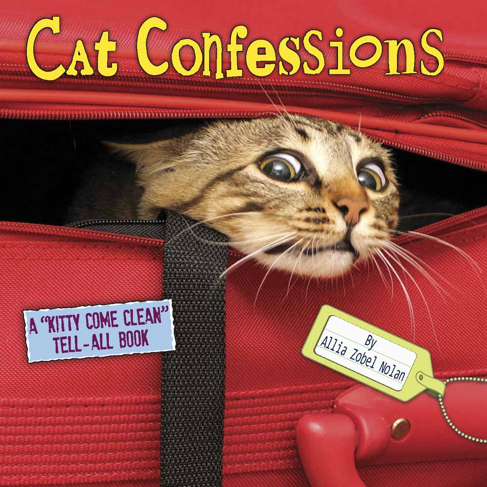 Cat Confessions - Re-vived