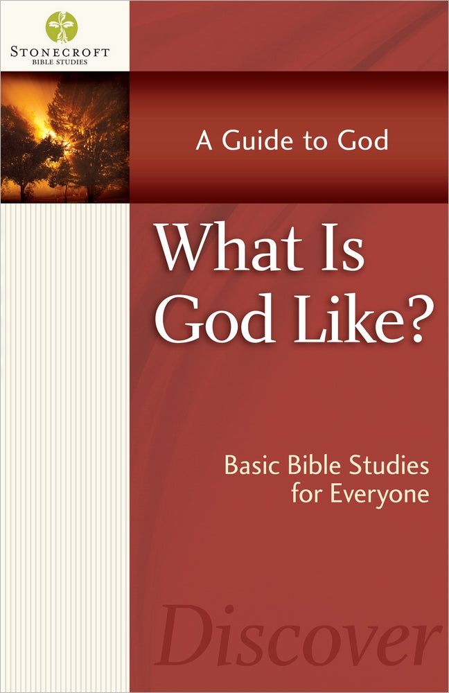What Is God Like? - Re-vived