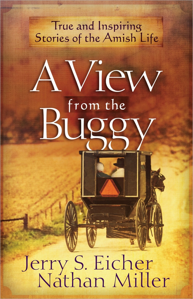 A View From The Buggy - Re-vived