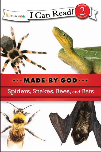 Spiders, Snakes, Bees, And Bats - Re-vived
