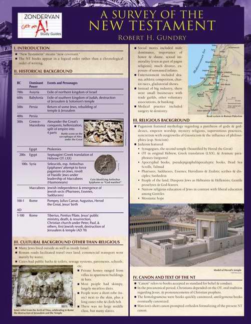 A Survey Of The New Testament Laminated Sheet - Re-vived