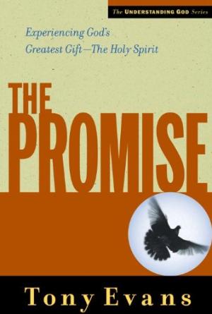 The Promise - Re-vived