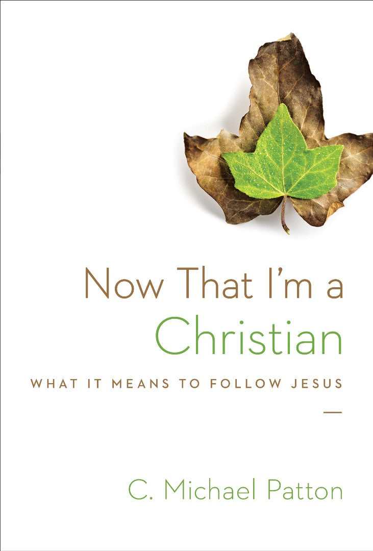 Now That I'm a Christian - Re-vived