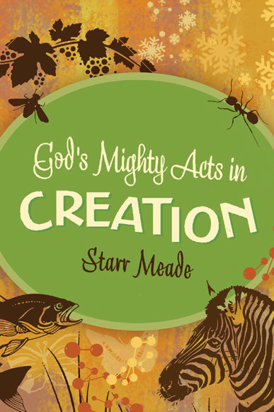 God's Mighty Acts In Creation - Re-vived