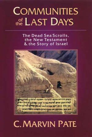 Communities of the Last Days - Re-vived