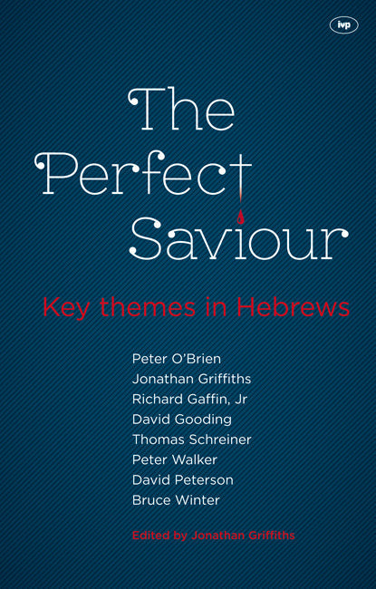 The Perfect Saviour - Re-vived