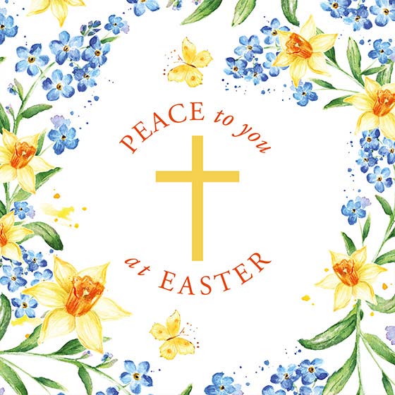 Compassion Charity Easter Cards: Easter Peace (5 pack) - Re-vived
