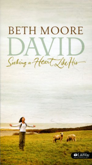 David: Seeking A Heart DVD Set - Re-vived