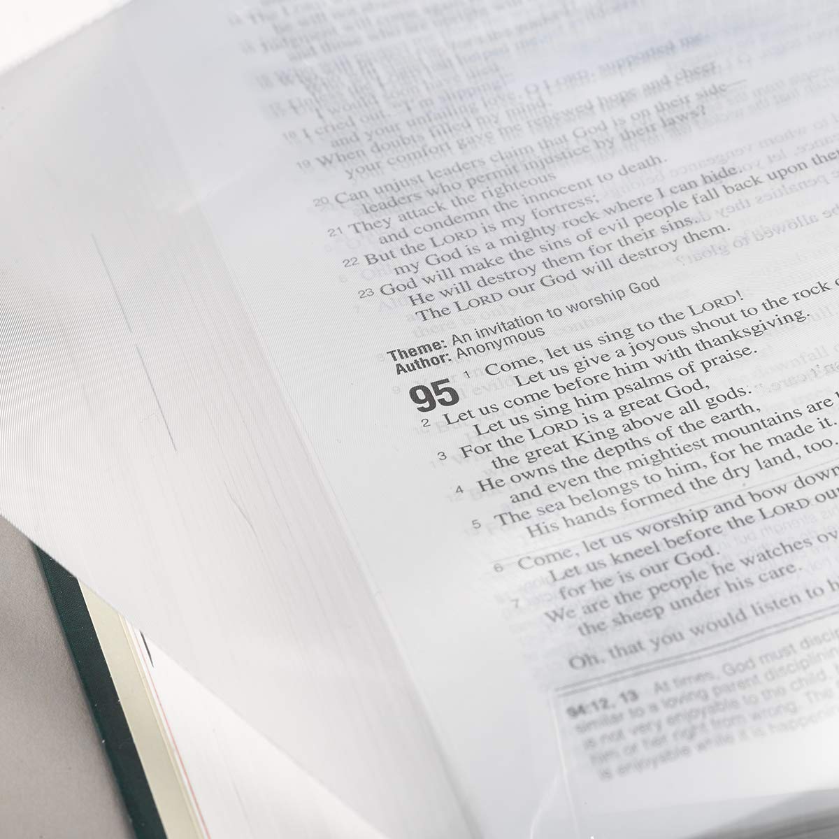 Magnifying Sheet - Page - Re-vived