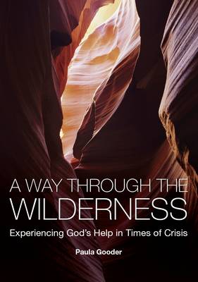 A Way Through The Wilderness - Re-vived