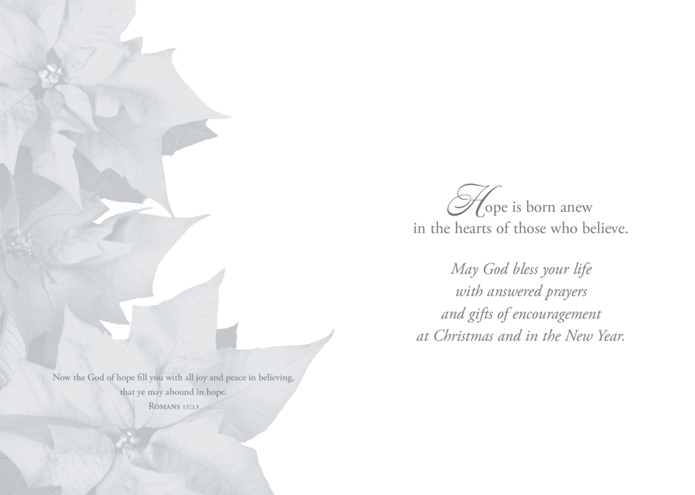 Hope is Born Anew Boxed Cards - Re-vived