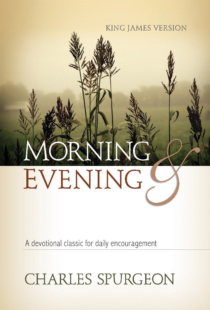 Morning and Evening - Re-vived
