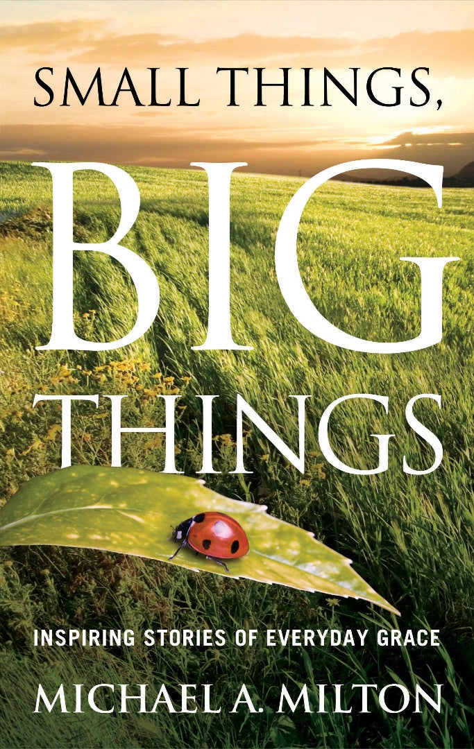 Small Things Big Things - Re-vived