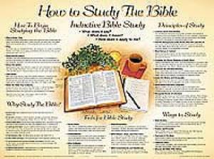 How to Study the Bible (Laminated) 20x26 - Re-vived