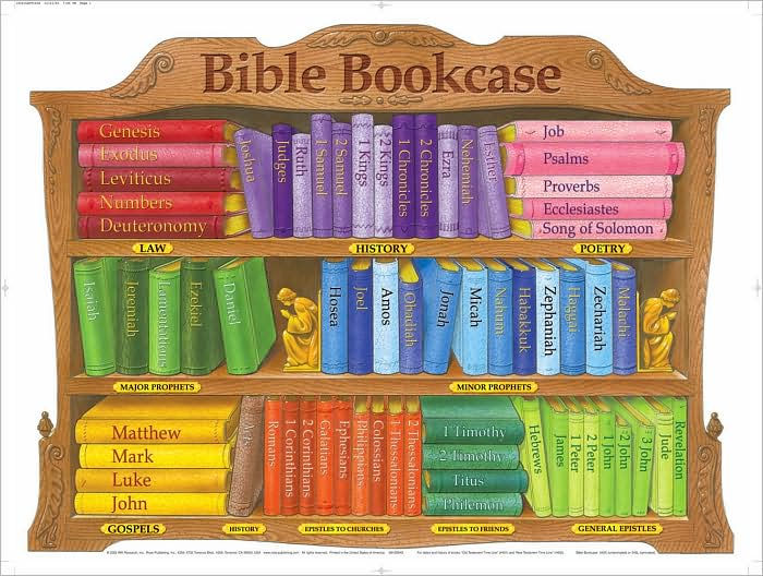 Bible Bookcase Chart (Laminated) 20x26 - Re-vived