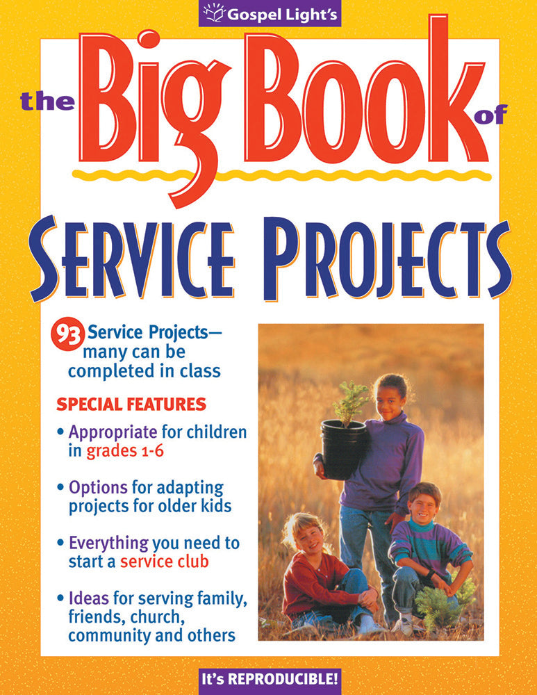 Big Book of Service Projects - Re-vived