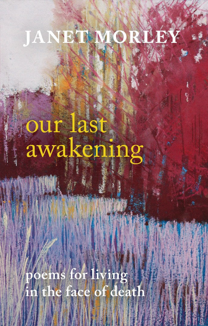 Our Last Awakening - Re-vived