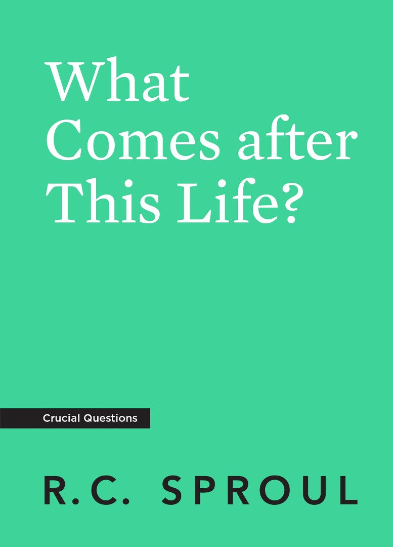 What Comes After This Life? - Re-vived