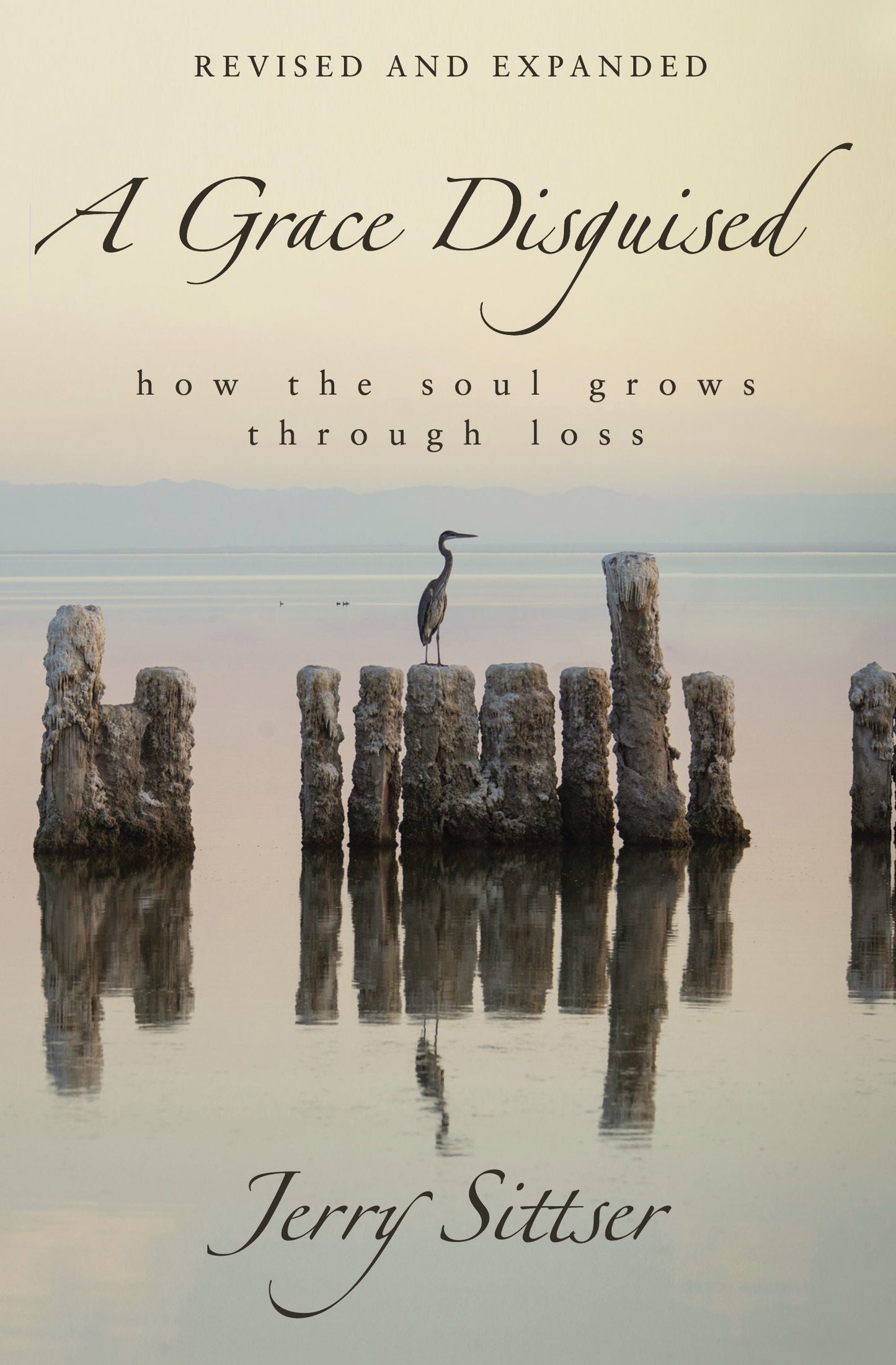 A Grace Disguised Revised and Updated - Re-vived