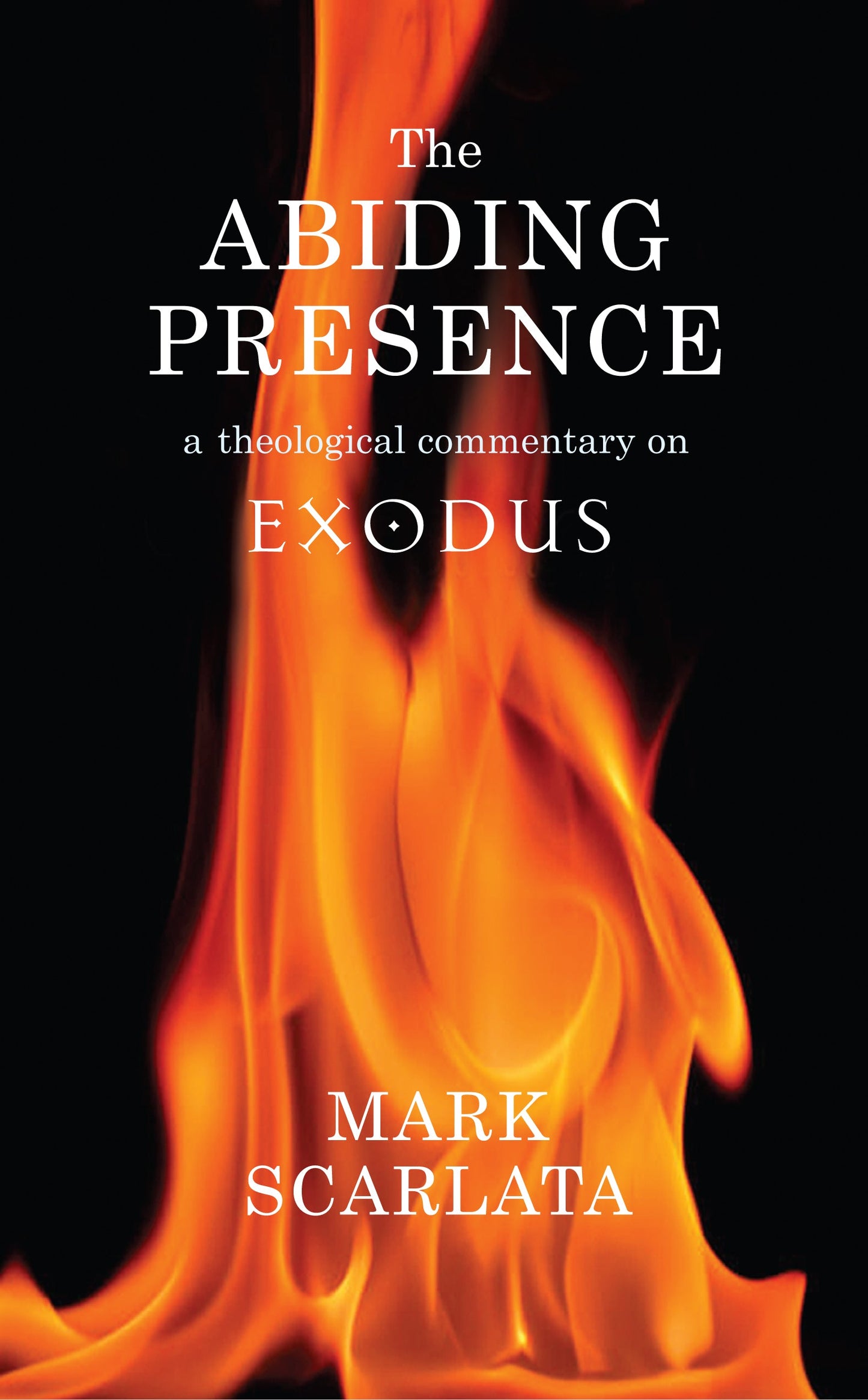 The Abiding Presence - Re-vived