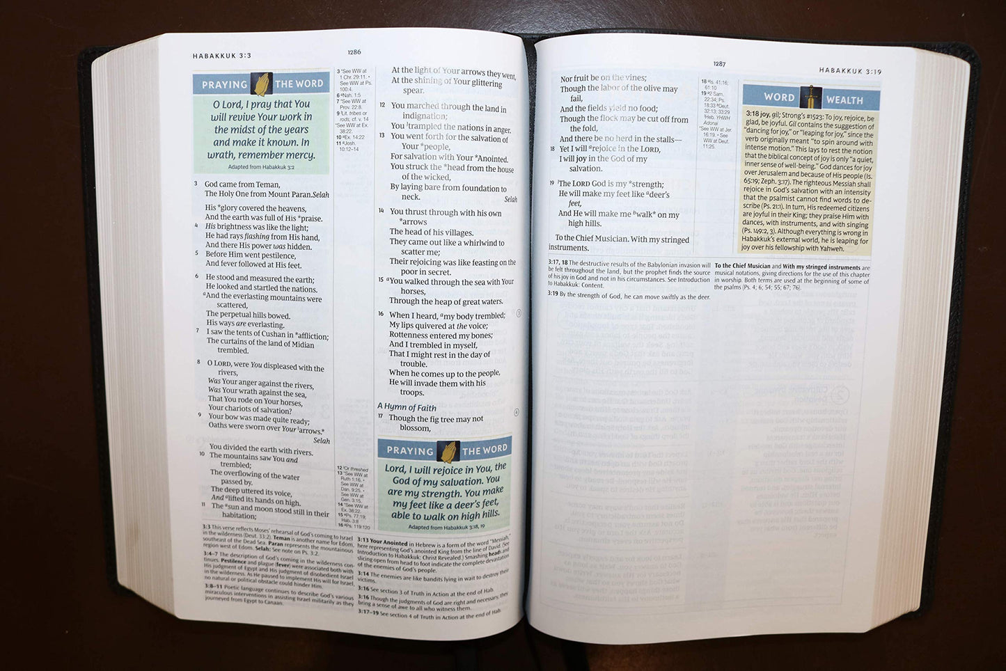 NKJV, Spirit-Filled Life Bible, Third Edition, Imitation Leather, Brown, Red Letter Edition, Comfort Print - Re-vived
