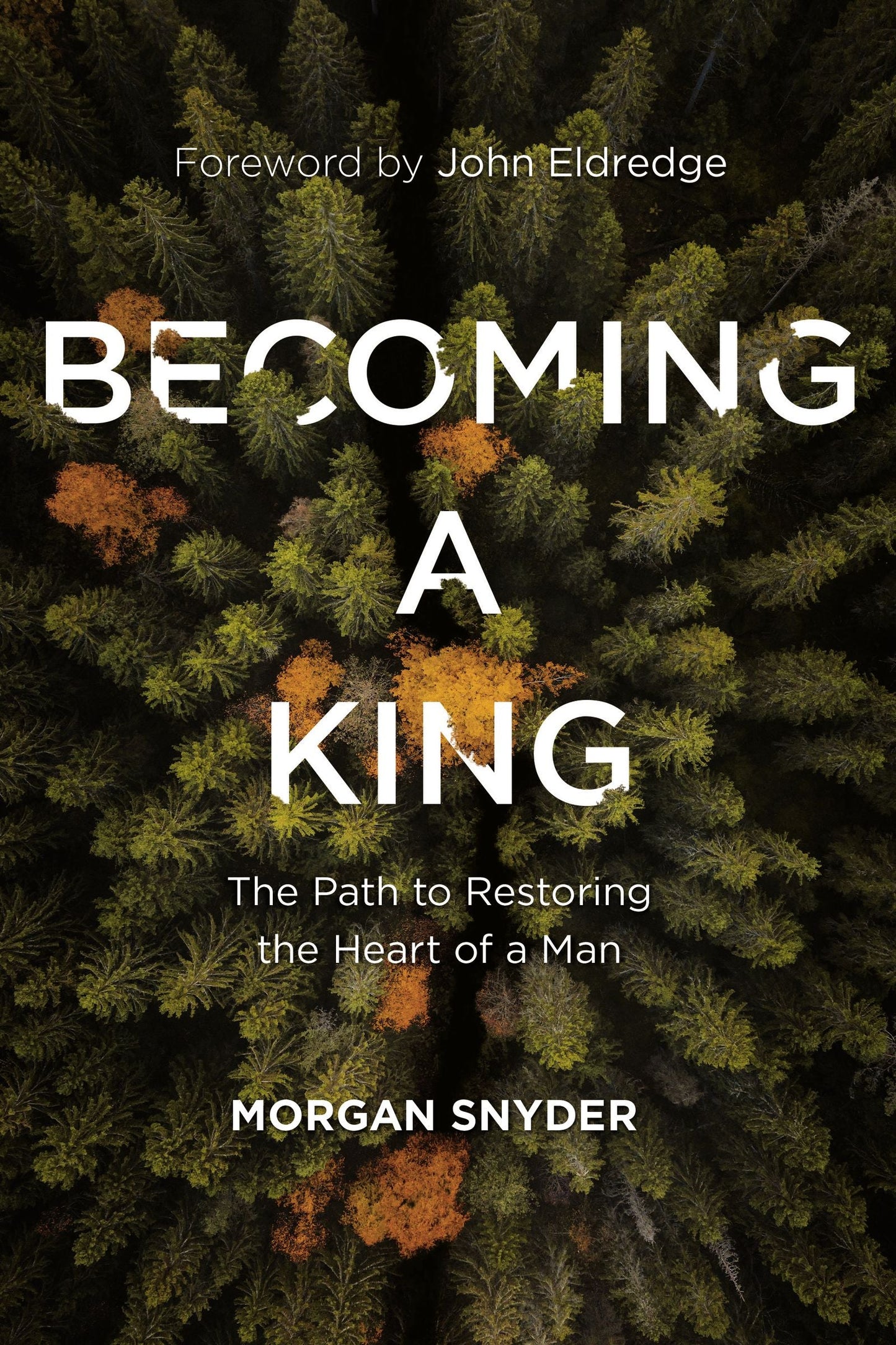 Becoming a King - Re-vived