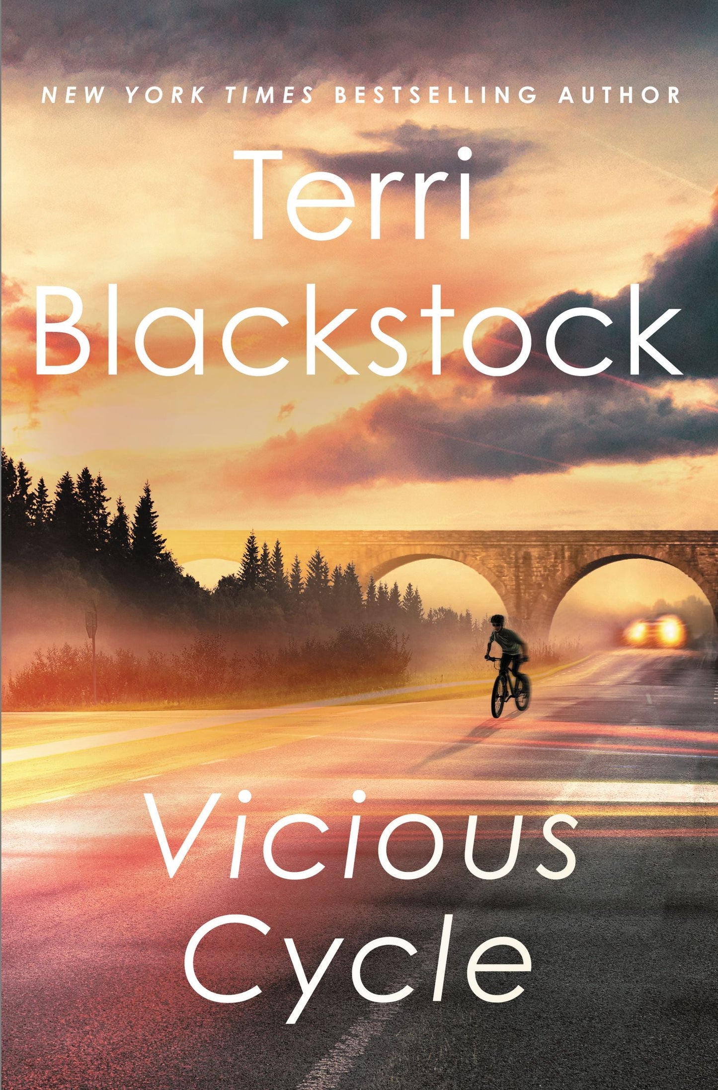Vicious Cycle - Re-vived