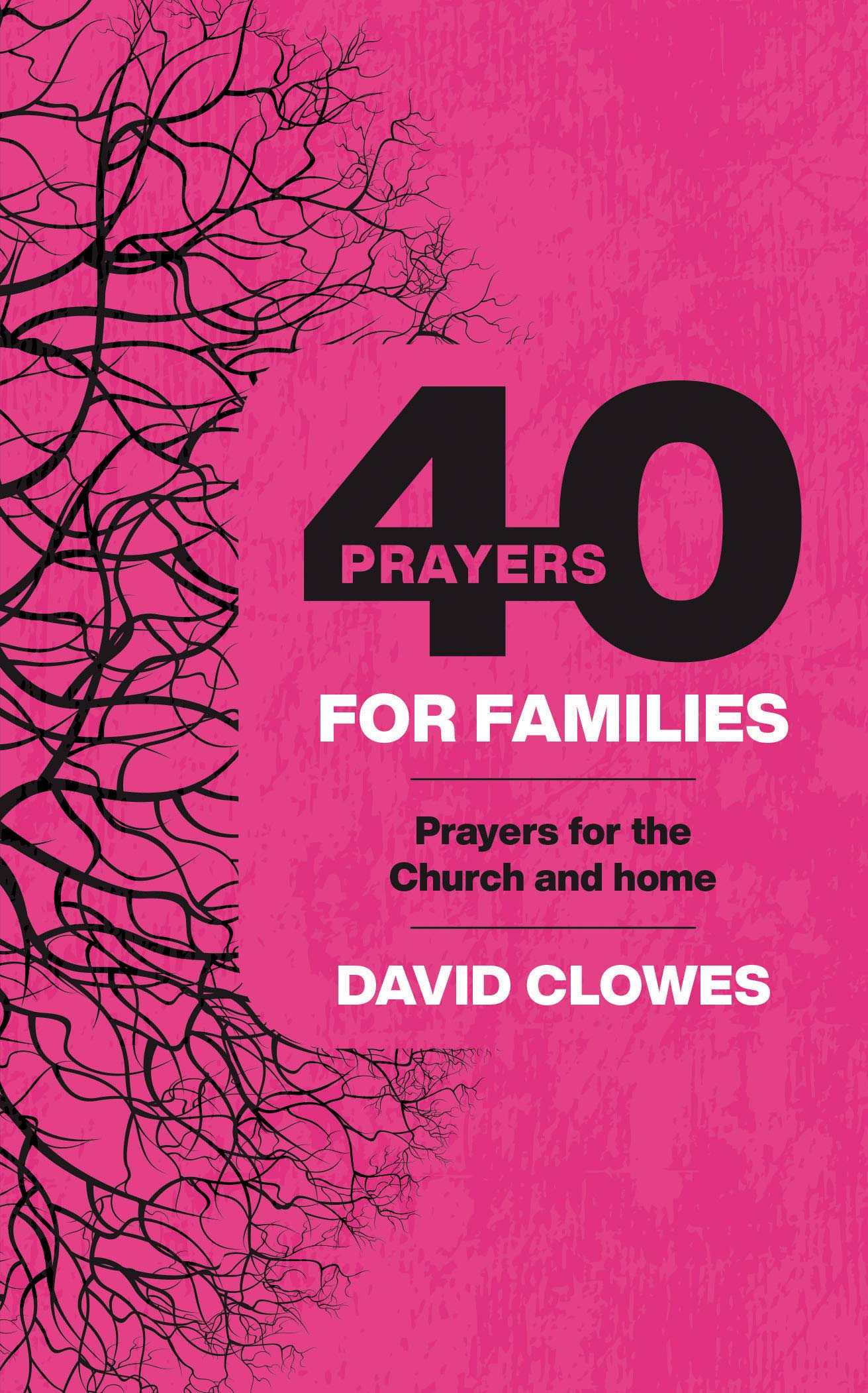 40 Prayers for Families - Re-vived