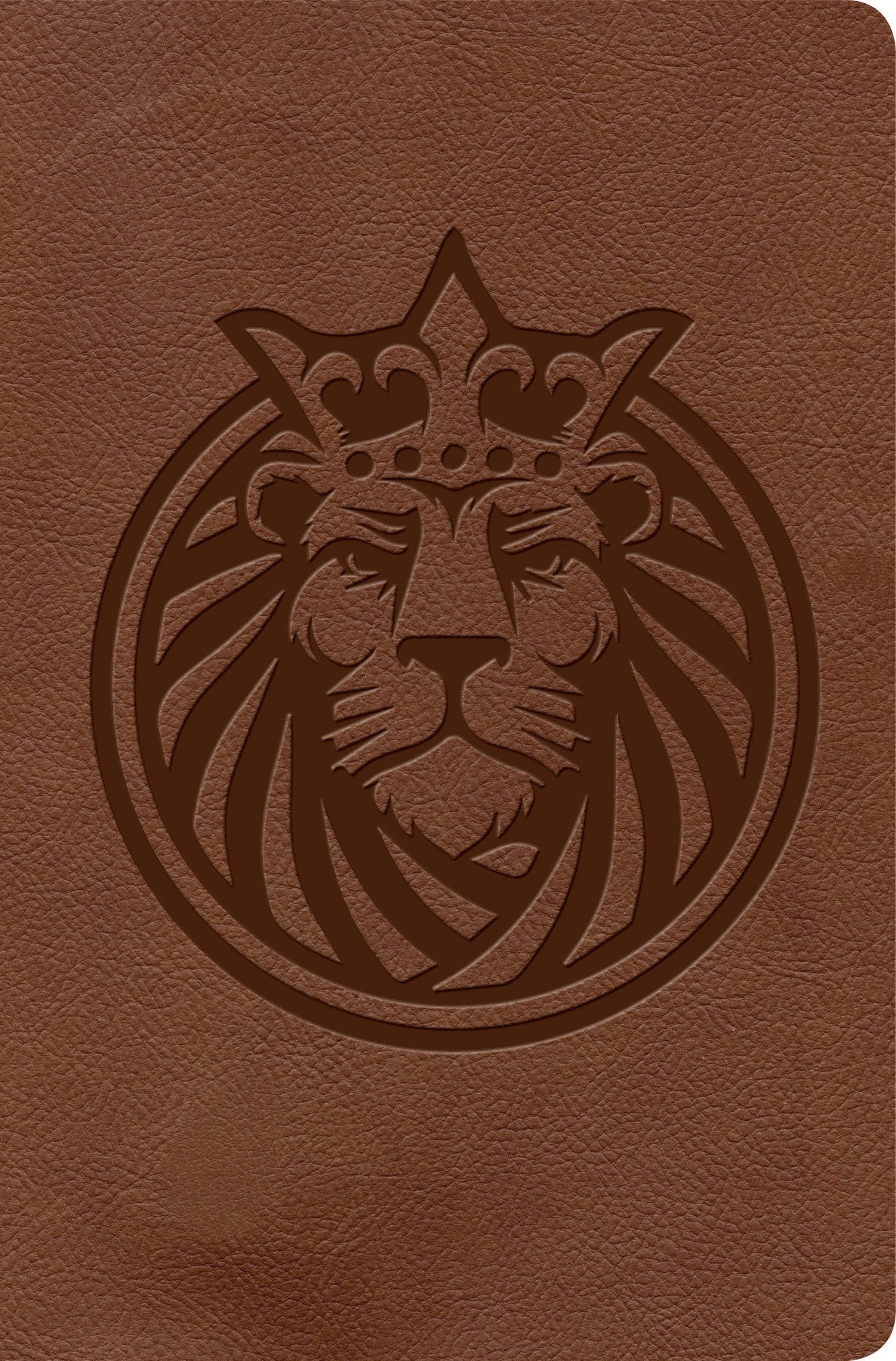 KJV Kids Bible, Lion LeatherTouch - Re-vived