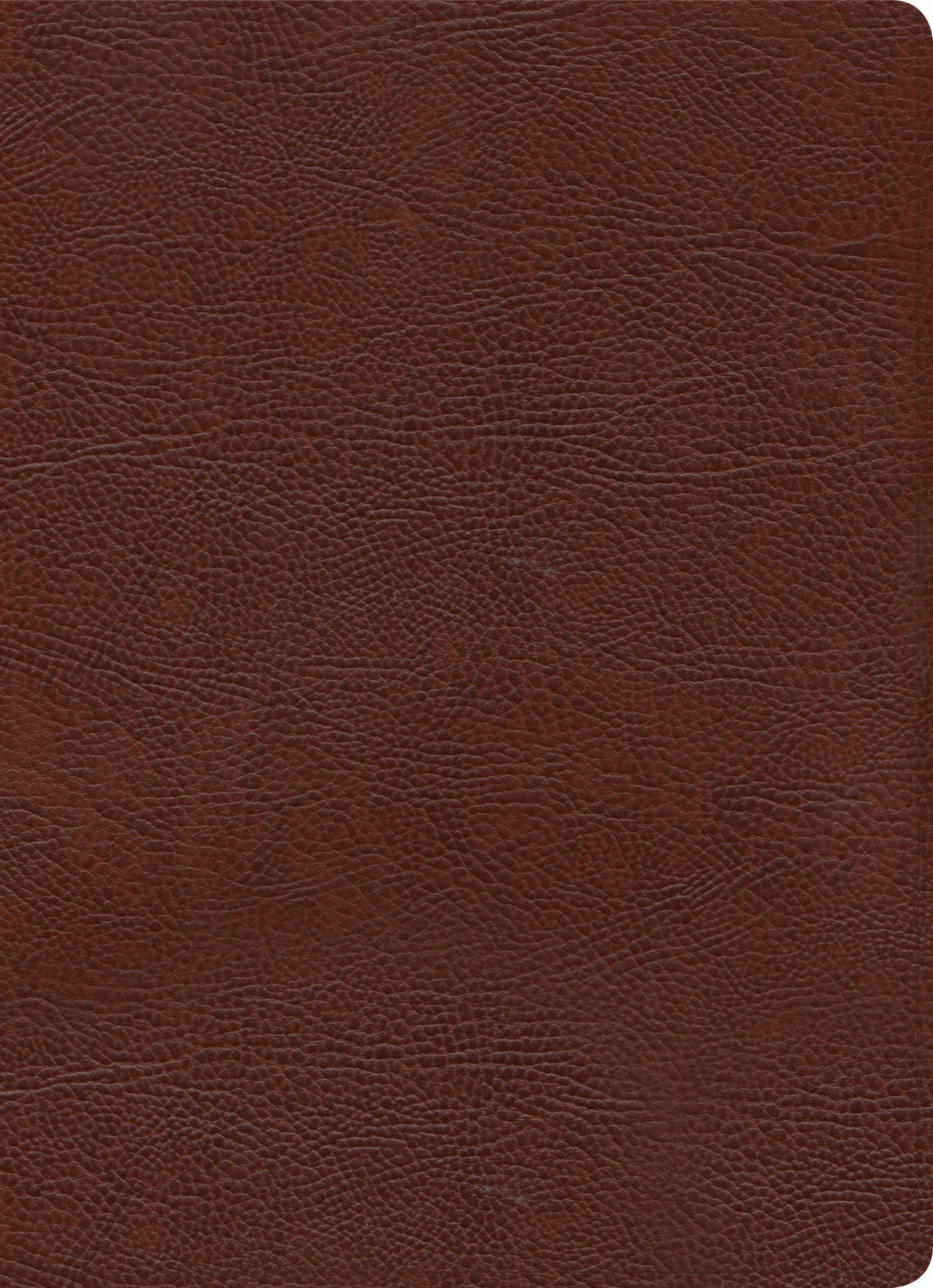 KJV Study Bible, Full-Color, Brown Bonded Leather, Indexed - Re-vived